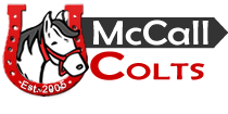 mccall_logo (1)